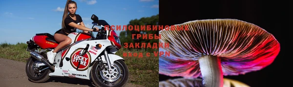экстази Касимов