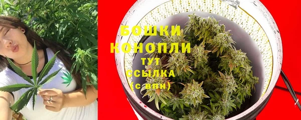 ПСИЛОЦИБИНОВЫЕ ГРИБЫ Карталы