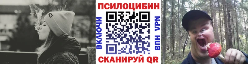 Галлюциногенные грибы Magic Shrooms  где купить наркоту  Брянск 